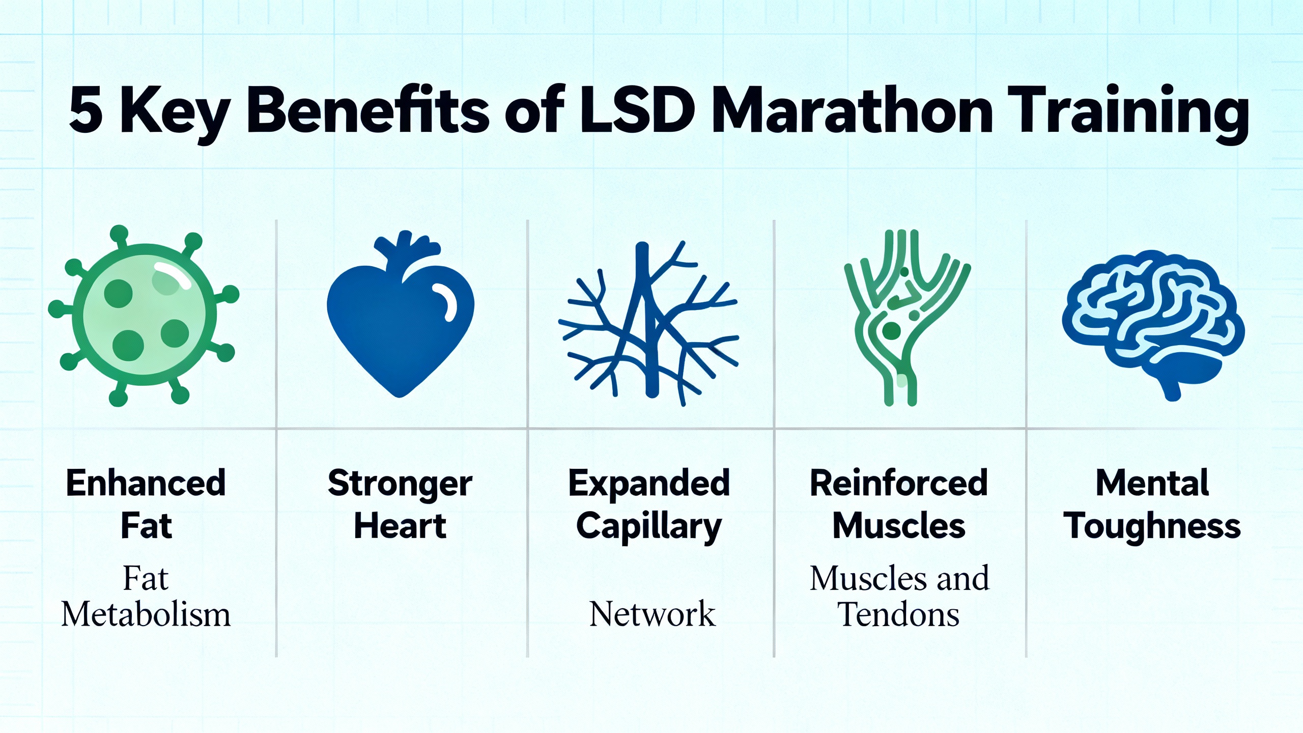 LSD 훈련의 다섯 가지 효과를 시각적으로 나타낸 인포그래픽